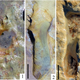 Several Neanderthal prints found by the team.